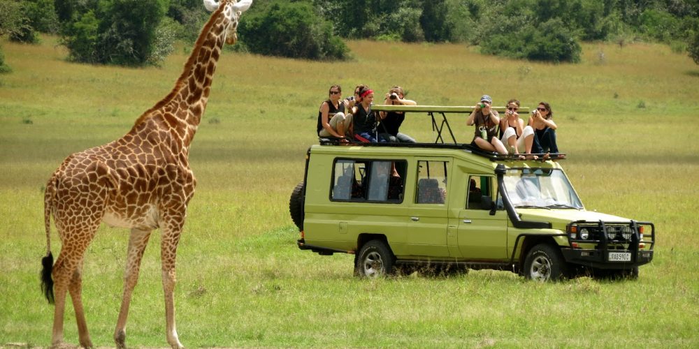 Tanzani-Wildlife-tour-1000x500-1