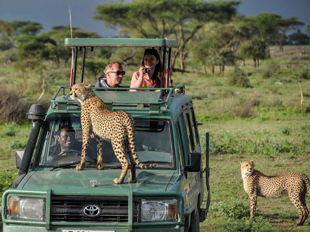 Uganda-Safaris