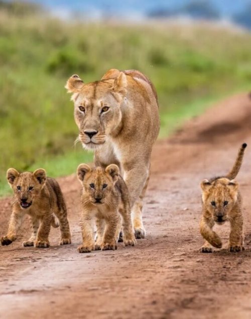 Kenya