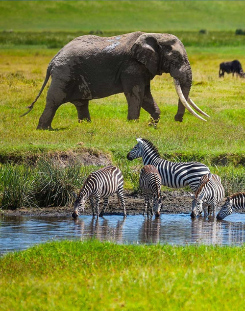 Tanzania